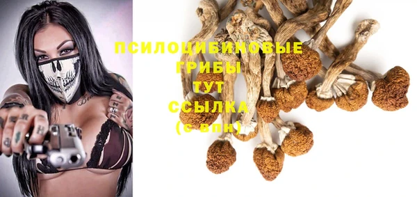 бошки Верхний Тагил